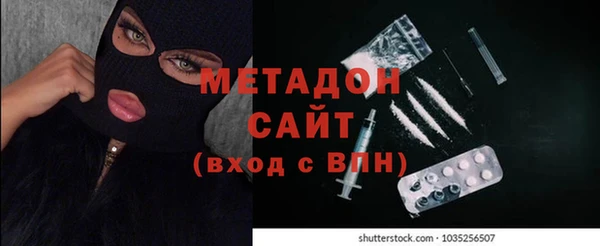 прущие грибы Армянск