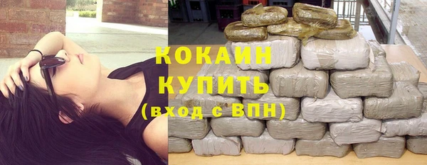 прущие грибы Армянск