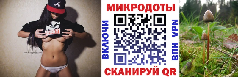 Галлюциногенные грибы Psilocybe  где продают   ОМГ ОМГ маркетплейс  Волгореченск 