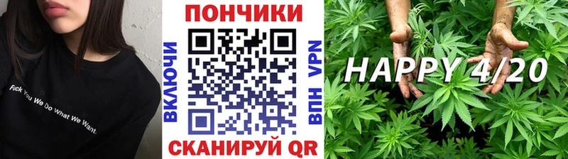 МАРИХУАНА SATIVA & INDICA  блэк спрут ONION  Волгореченск  как найти наркотики 